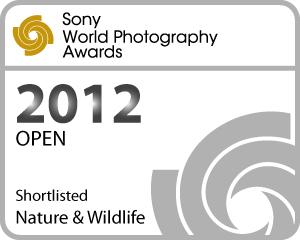 Sony World Photography Awards Nature And Wildlife Shortlisted